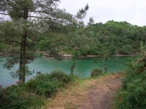 rivière sentier